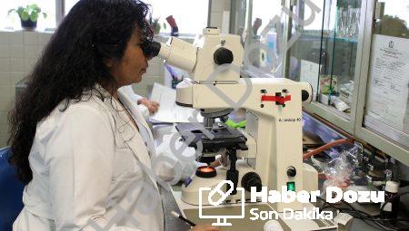 Mitokondriyal genetik: Genlerimizde gizlenen sağlık sırları!