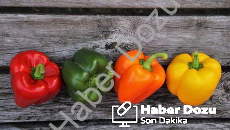 Diyetisyen Hangi Poliklinikte Görev Alır?