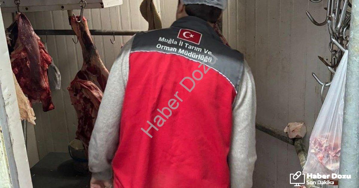 "Menteşe'de Gıda Güvenliği İçin Sıkı Takip: Kasaplara Ortak Denetim" başlıklı haber için fotorealist