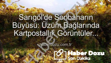 Sarıgöl’de Sonbaharın Büyüsü: Üzüm Bağlarında Kartpostallık Görüntüler Eşliğinde Budama Çalışmaları Başladı