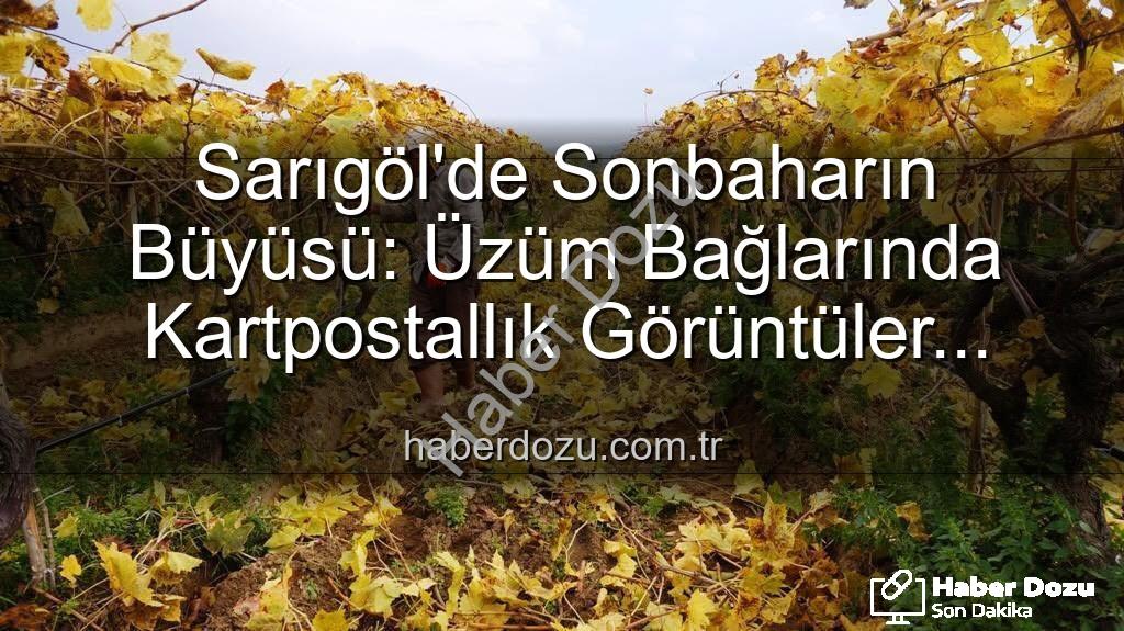 Sarıgöl üzüm bağları - Sarıgöl'de Sonbaharın Büyüsü: Üzüm Bağlarında Kartpostallık Görüntüler Eşliğinde Budama Çalışmaları Başladı