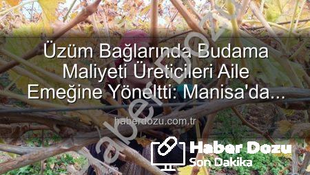 Üzüm Bağlarında Budama Maliyeti Üreticileri Aile Emeğine Yöneltti: Manisa’da Ekonomik Çözümler