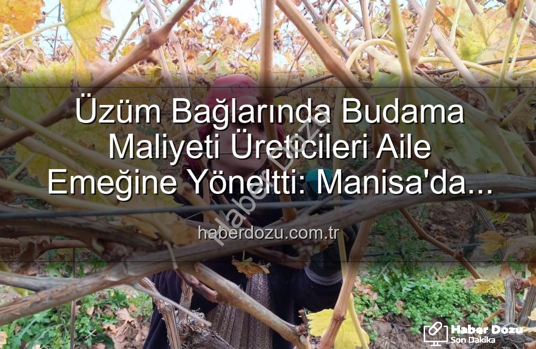 üzüm budama maliyeti - Üzüm Bağlarında Budama Maliyeti Üreticileri Aile Emeğine Yöneltti: Manisa'da Ekonomik Çözümler