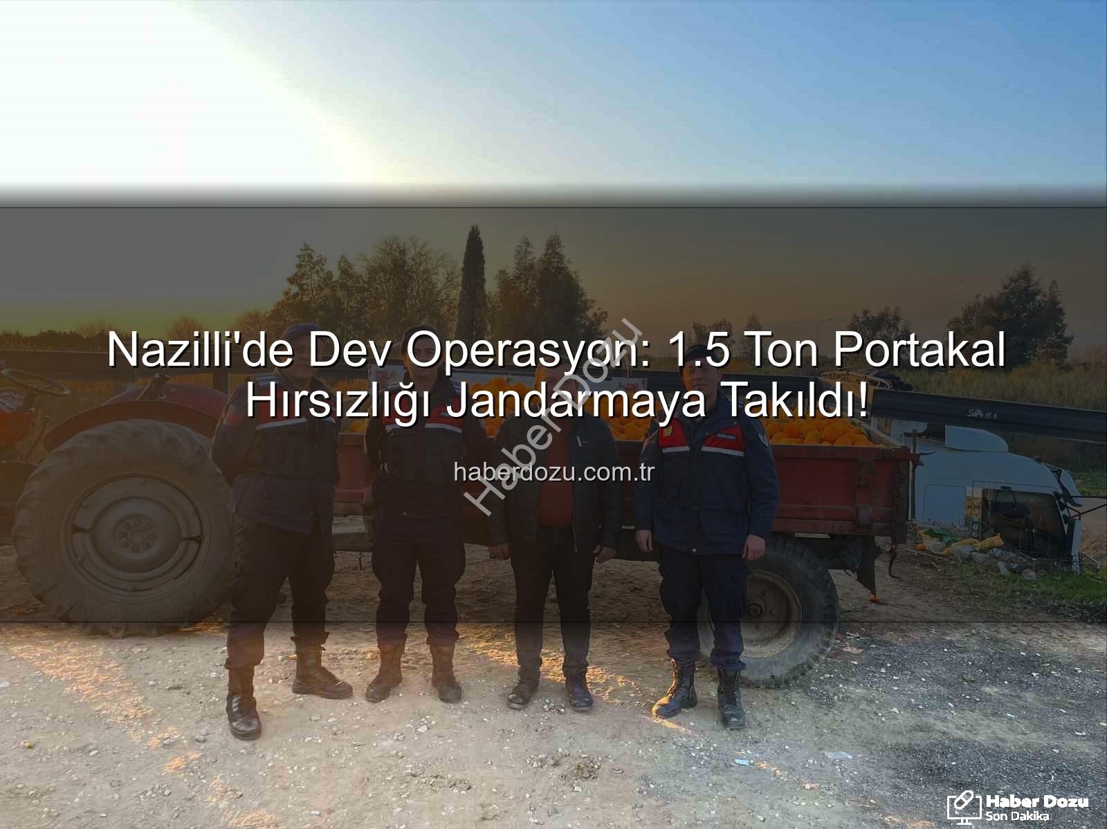 portakal hırsızlığı - Nazilli'de Dev Operasyon: 1.5 Ton Portakal Hırsızlığı Jandarmaya Takıldı!