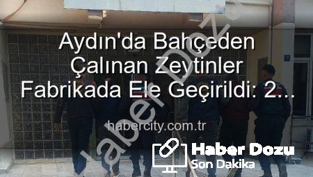 Aydın’da Bahçe Hırsızlığı Şoku: Çalınan Zeytinler Fabrikada Ele Geçirildi!
