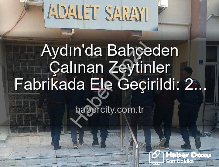 zeytin hırsızlığı - Aydın'da Bahçe Hırsızlığı Şoku: Çalınan Zeytinler Fabrikada Ele Geçirildi!
