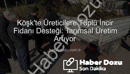 Köşk’te Üreticilere Tüplü İncir Fidanı Desteği: Tarımsal Üretim Artıyor