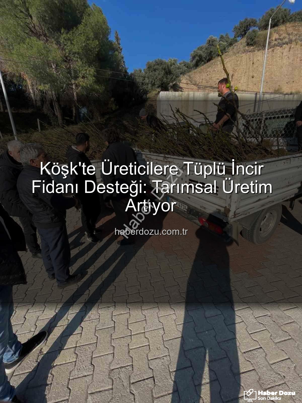 tüplü incir fidanı - Köşk'te Üreticilere Tüplü İncir Fidanı Desteği: Tarımsal Üretim Artıyor