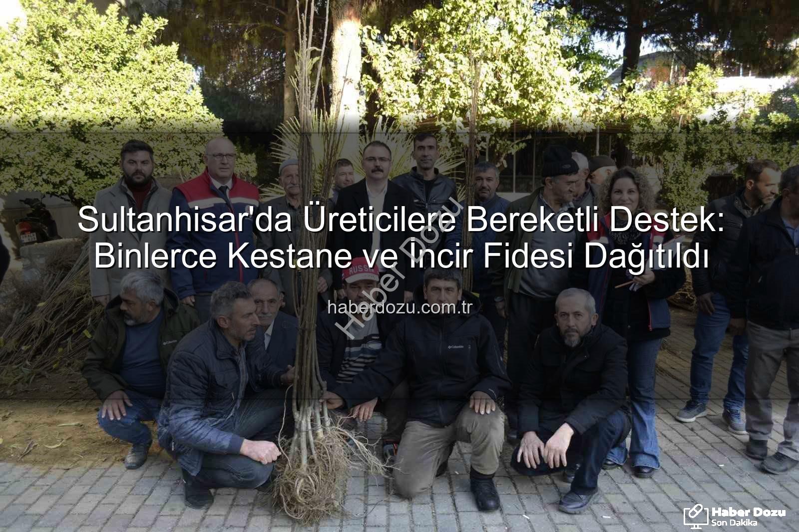 kestane incir fidesi - Sultanhisar'da Üreticilere Bereketli Destek: Binlerce Kestane ve İncir Fidesi Dağıtıldı