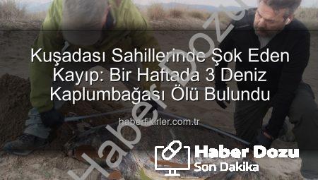 Kuşadası Sahillerinde Endişe Veren Durum: Bir Haftada 3 Deniz Kaplumbağası Hayatını Kaybetti