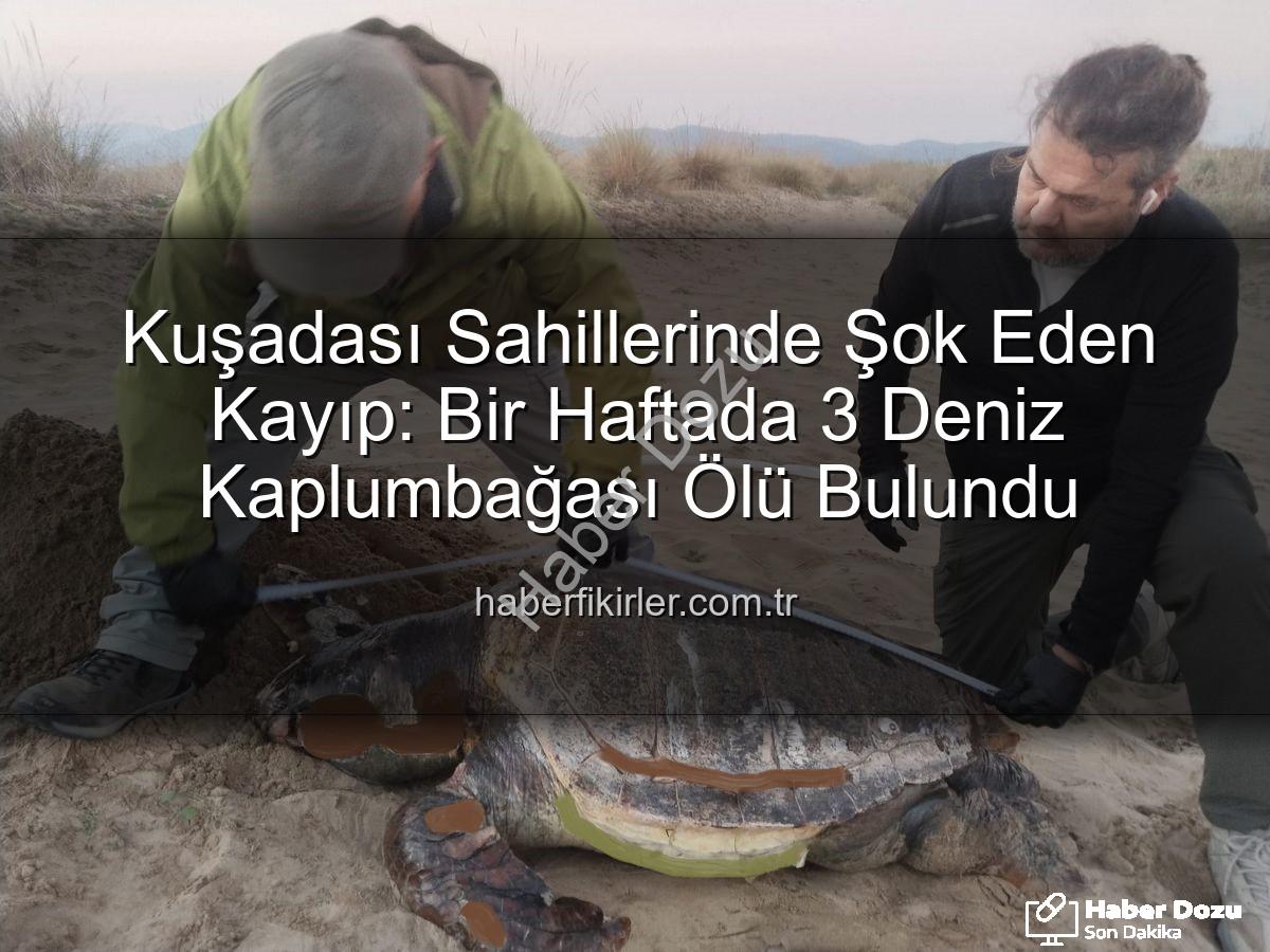 deniz kaplumbağası ölümleri - Kuşadası Sahillerinde Endişe Veren Durum: Bir Haftada 3 Deniz Kaplumbağası Hayatını Kaybetti