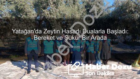 Yatağan’da Zeytin Hasadı Dualarla Başladı: Bereket ve Şükür Bir Arada