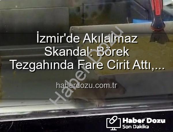 börek tezgahında fare - İzmir'de Akılalmaz Skandal: Börek Tezgahında Fare Cirit Attı, İşletme Mühürlendi!
