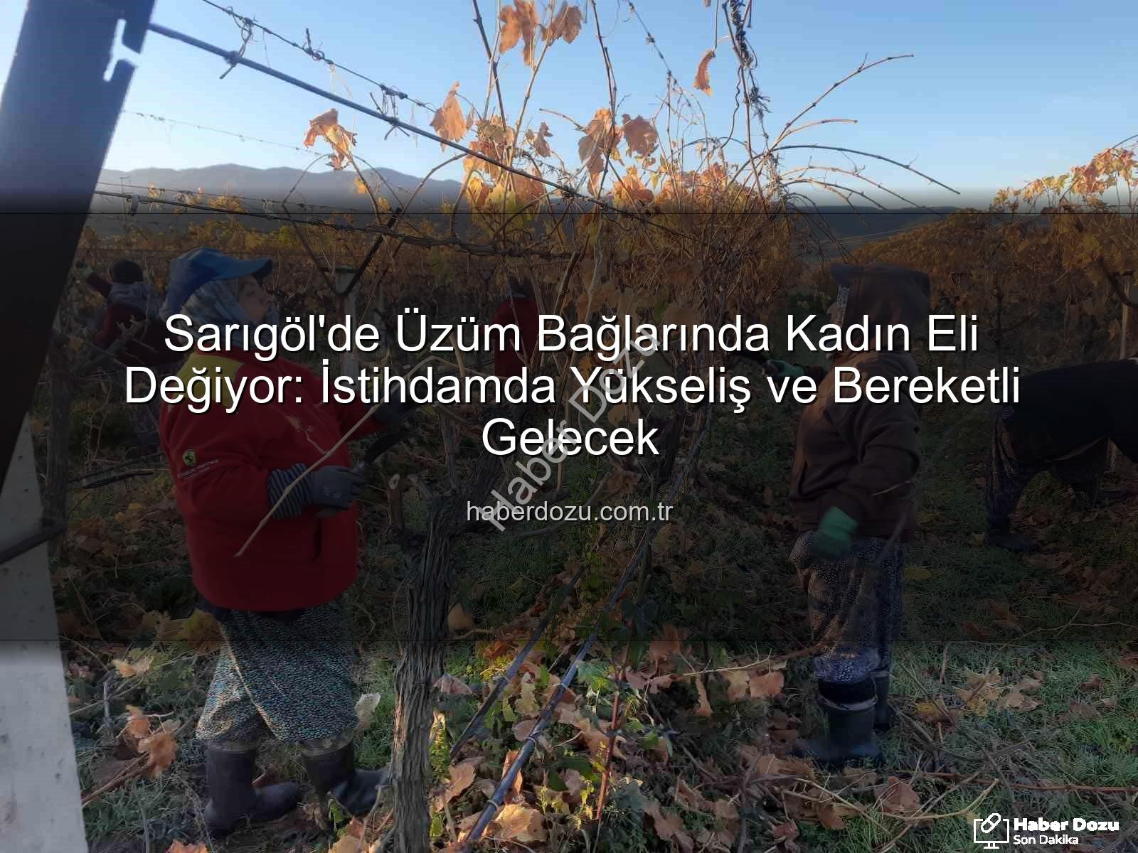 kadın istihdamı - Sarıgöl'de Üzüm Bağlarında Kadın Eli Değiyor: İstihdamda Yükseliş ve Bereketli Gelecek