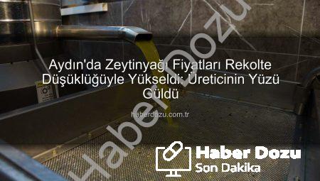 Aydın’da Zeytinyağı Fiyatları Rekolte Düşüklüğüyle Yükseldi: Üreticinin Yüzü Güldü