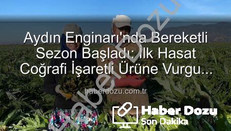 Aydın Enginarı’nda Bereketli Sezon Başladı: İlk Hasat Coğrafi İşaretli Ürüne Vurgu Yaptı