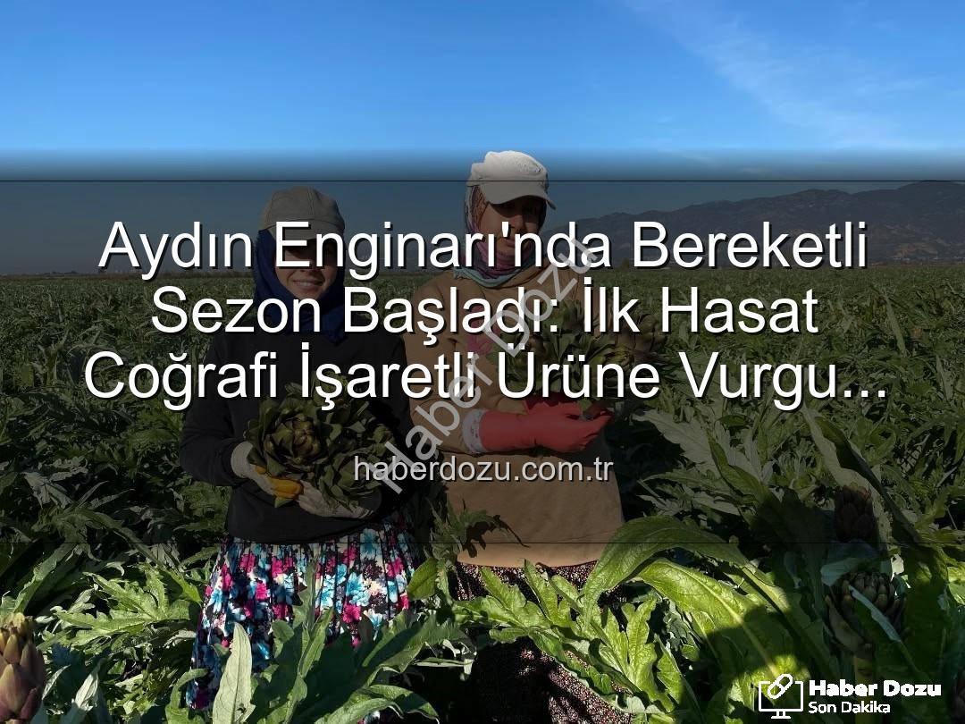 Aydın Enginarı - Aydın Enginarı'nda Bereketli Sezon Başladı: İlk Hasat Coğrafi İşaretli Ürüne Vurgu Yaptı