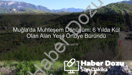 Muğla’da Muhteşem Dönüşüm: 6 Yılda Kül Olan Alan Yeşil Örtüye Büründü